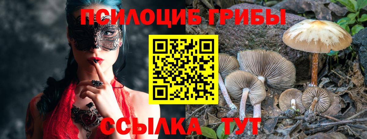 Галлюциногенные грибы мицелий Абакан